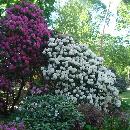 Ferienobjekt Mueritz A15 Daire